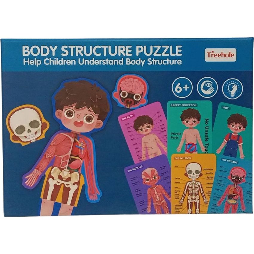 Body Structure Puzzle - Girl